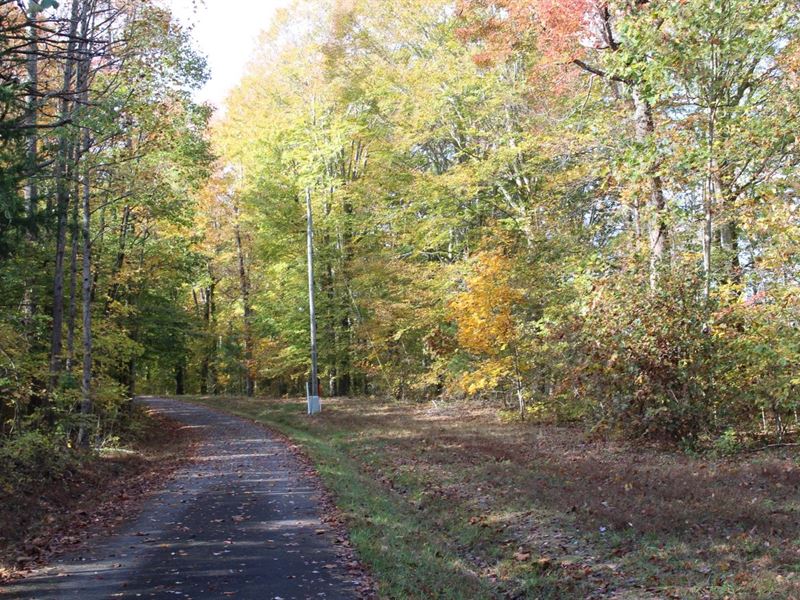 10.5 Acres in Russell County, KY : Russell Springs : Russell County : Kentucky