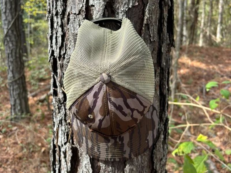 42.21 Acres in Rankin County, MS : Mendenhall : Rankin County : Mississippi