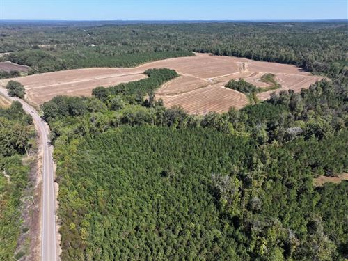 450 Acres in Monroe County, MS : Caledonia : Monroe County : Mississippi