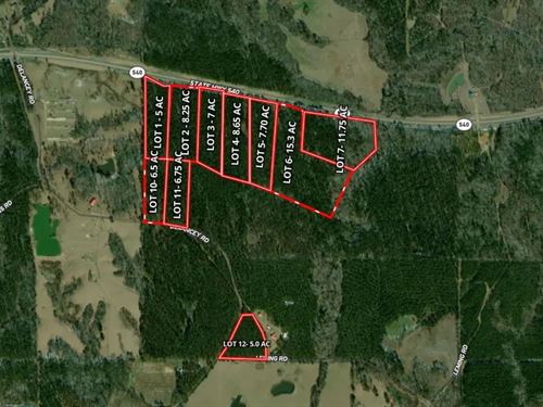 7 Acres Lot 3 in Simpson County : Braxton : Simpson County : Mississippi