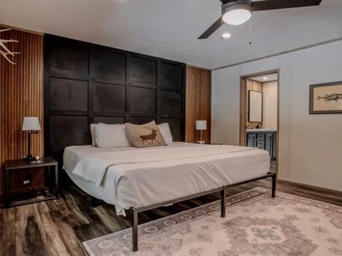 836 Acres Coldwater Bottom in Web : Eupora : Webster County : Mississippi