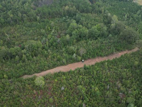 26.7 Acres in Monroe County in Smit : Smithville : Monroe County : Mississippi