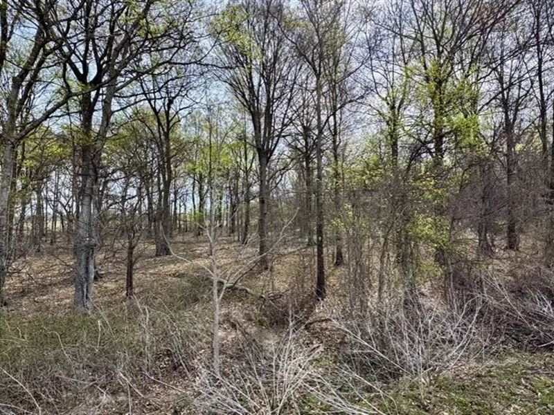 24 Acres in Sunflower County in Rul : Ruleville : Sunflower County : Mississippi