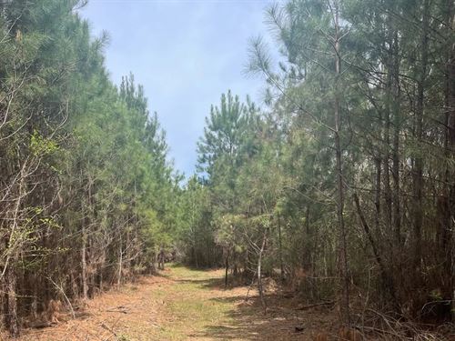 20 Acres in Choctaw County in McCoo : McCool : Choctaw County : Mississippi