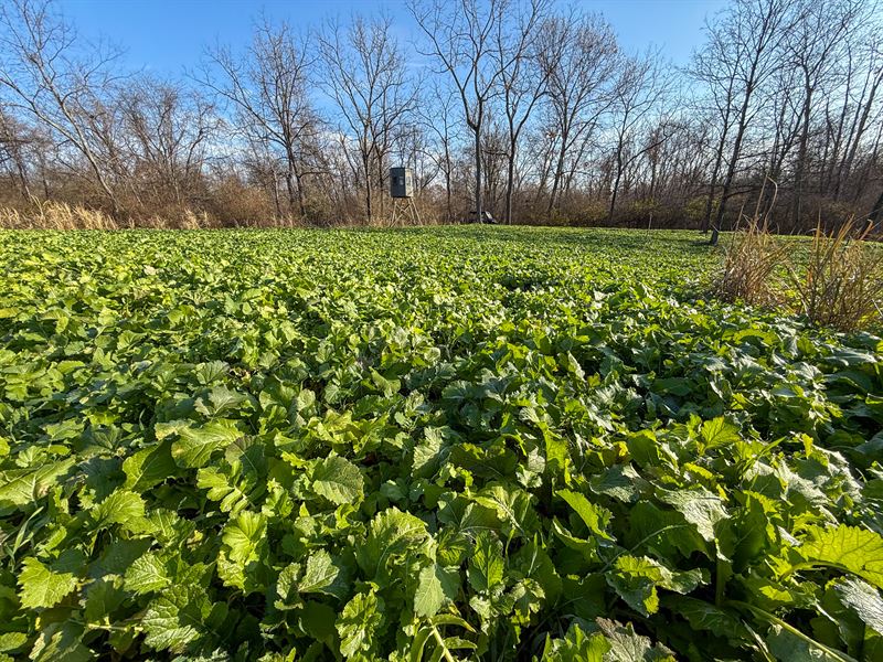 Perfect Hunting Property : New Concord : Muskingum County : Ohio