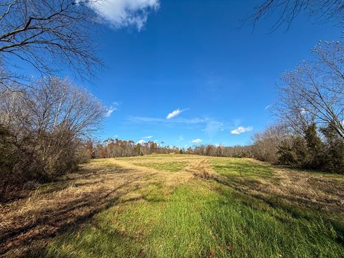 Kern Rd Lot 1, 40 Acres : Waterford : Washington County : Ohio