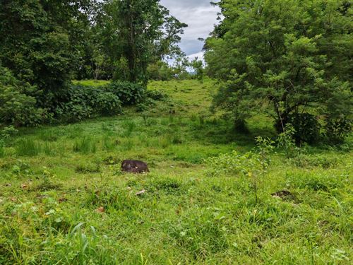 Beautiful Property in Santa Teresit : Turrialba : Costa Rica