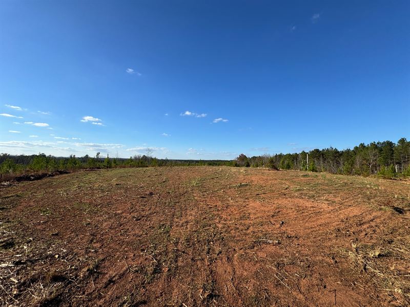 13.35 Acres, Germany's Ferry Road : Daviston : Tallapoosa County : Alabama