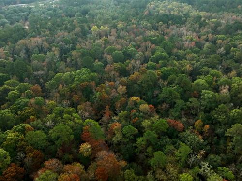 Lotts Creek Tract 2 : Statesboro : Bulloch County : Georgia