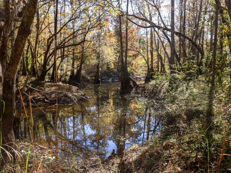 Lotts Creek Tract 3 : Statesboro : Bulloch County : Georgia