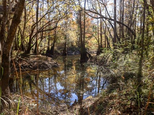 Lotts Creek Tract 5 : Statesboro : Bulloch County : Georgia