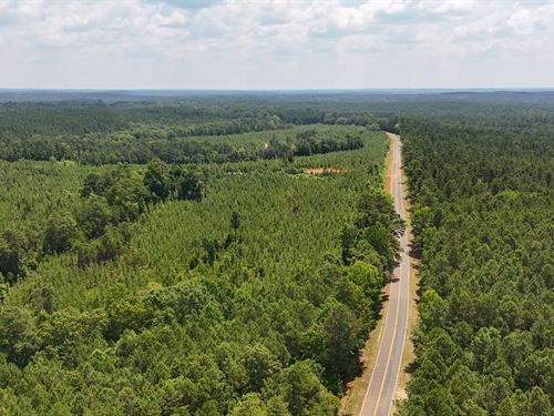 Buckhead Road Tract : Blair : Fairfield County : South Carolina