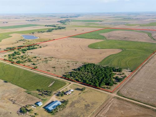 Cocklebur Creek Pasture Cropland : Larned : Pawnee County : Kansas