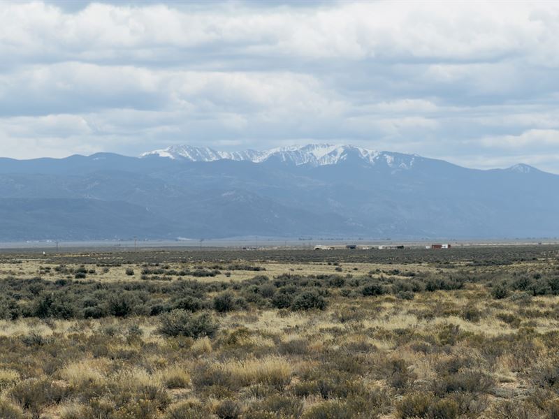 Wild Sage Mesa : Mesita : Costilla County : Colorado