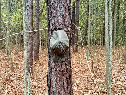 41.59 Acres in Calhoun County, MS : Bruce : Calhoun County : Mississippi