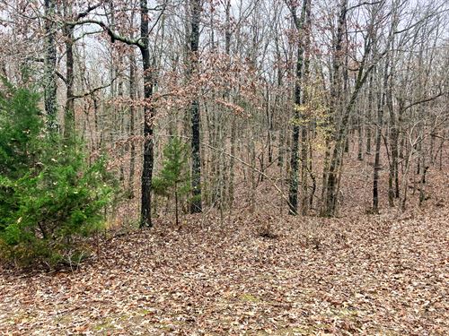 Wooded Land for Sale in Missouri : Tecumseh : Ozark County : Missouri