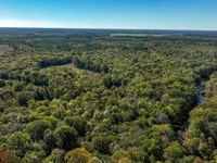 Ogeechee River Plantation Tract 1 : Millen : Jenkins County : Georgia
