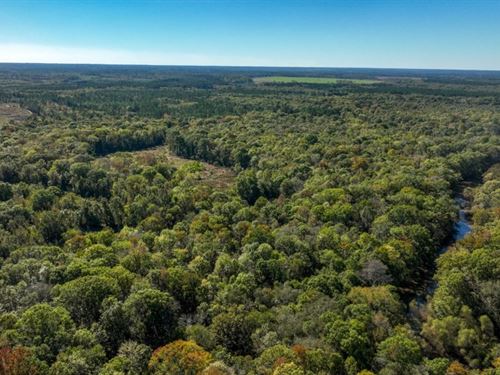 Ogeechee River Plantation Tract 1 : Millen : Jenkins County : Georgia
