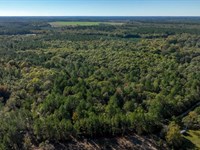 Ogeechee River Plantation Tract 3 : Millen : Jenkins County : Georgia
