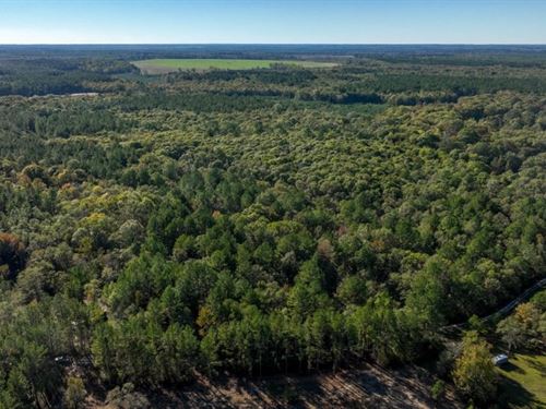Ogeechee River Plantation Tract 3 : Millen : Jenkins County : Georgia