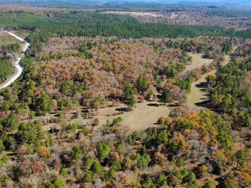80 Acres Garland Co Arkansas : Jessieville : Garland County : Arkansas
