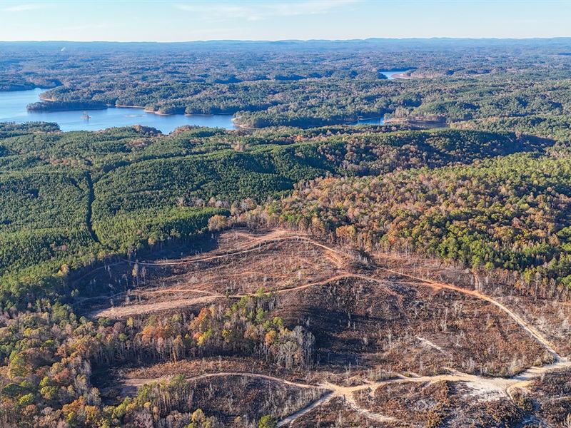 76 Acres Near Lake Martin, Tallap : Jacksons Gap : Tallapoosa County : Alabama