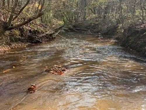 176.5 Acres in Newton County in Lit : Little Rock : Newton County : Mississippi