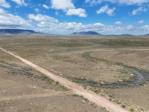 Smores 'n Stars. Camp Here in 2026 : San Luis : Costilla County : Colorado