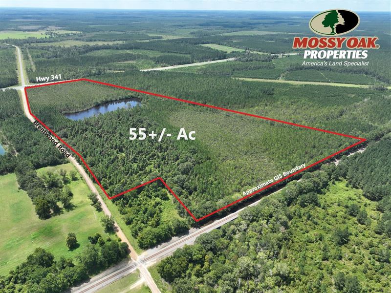 55 Acres with 4.75 Acre Lake : Jesup : Wayne County : Georgia