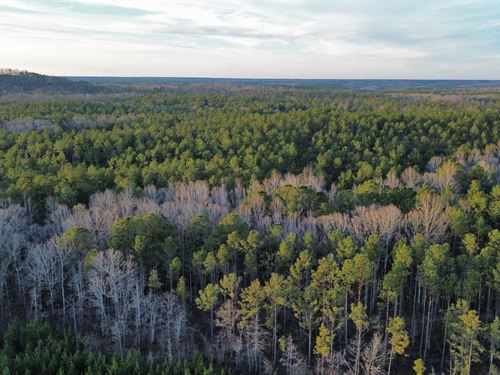 21 Acres Lee County, AL : Salem : Lee County : Alabama