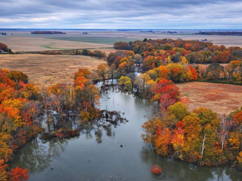 Des Arc Farm and Lake : Des Arc : Prairie County : Arkansas