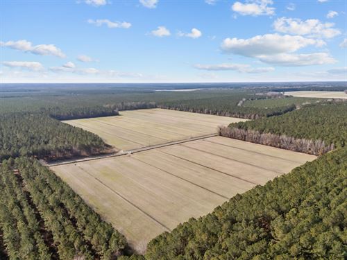125-Ac of Farmland & Timberland : Edward : Beaufort County : North Carolina