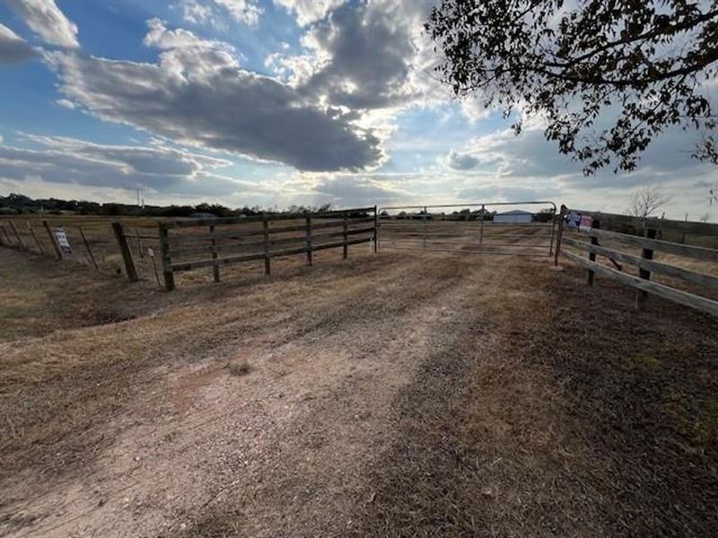 Prime 5 Acres in Austin County : Bellville : Austin County : Texas