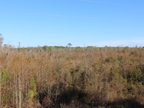 Large Homesite and Recreational : Dublin : Laurens County : Georgia