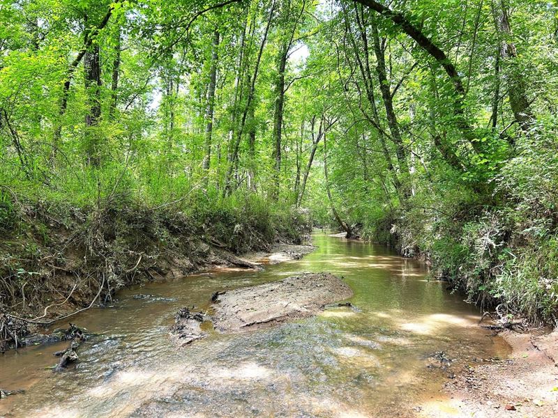 1444Ac Adjacent to BF Grant Forest : Shady Dale : Putnam County : Georgia