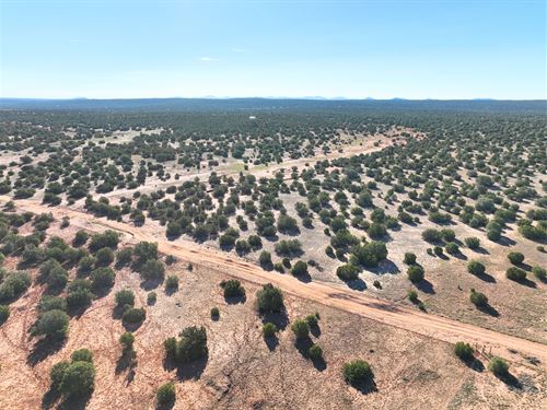 Huge 20.07 Acres in Show Low AZ : Show Low : Navajo County : Arizona
