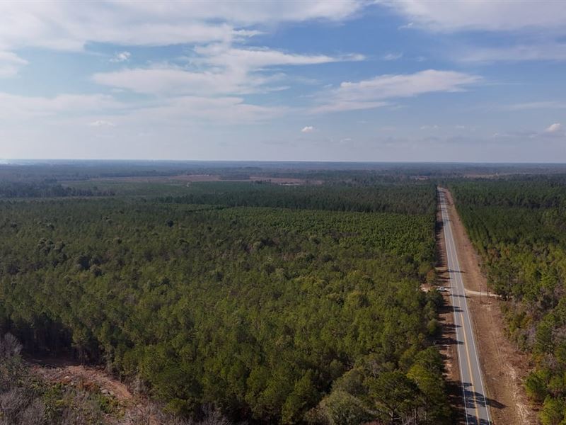 Bells Ferry Road Tract : Lumber City : Wheeler County : Georgia
