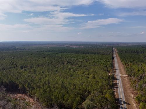 Bells Ferry Road Tract : Lumber City : Wheeler County : Georgia
