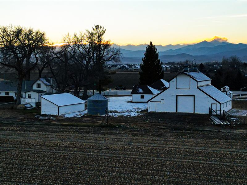 287 Farm & Frontage : Loveland : Larimer County : Colorado