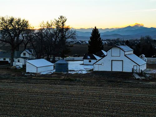 287 Farm & Frontage : Loveland : Larimer County : Colorado