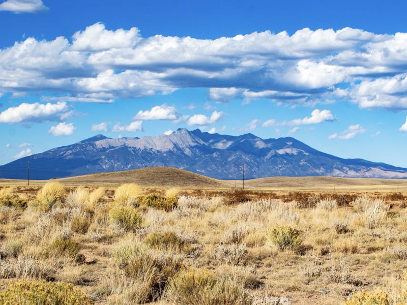 40 Acres, Power & Mountain Views : San Luis : Costilla County : Colorado