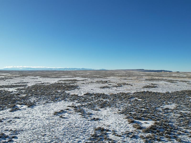 Cottonwood Road : Bridger : Carbon County : Montana