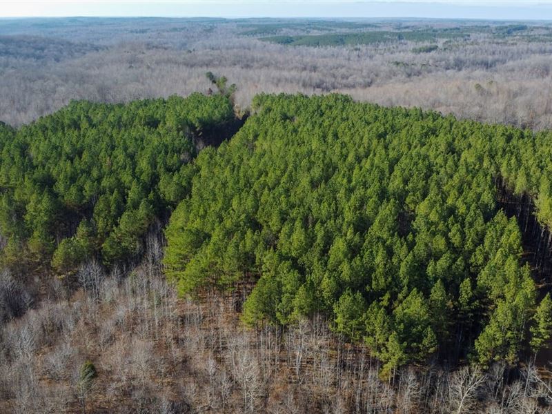 South Fork Tract : Stewart : Stewart County : Tennessee