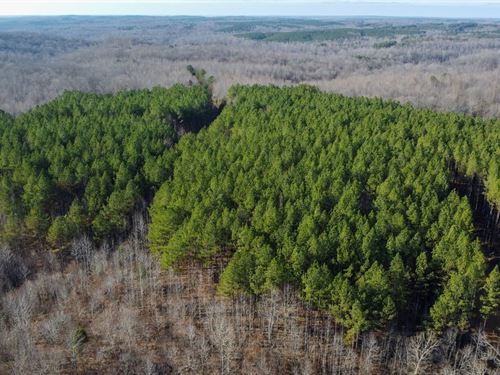 South Fork Tract : Stewart : Tennessee