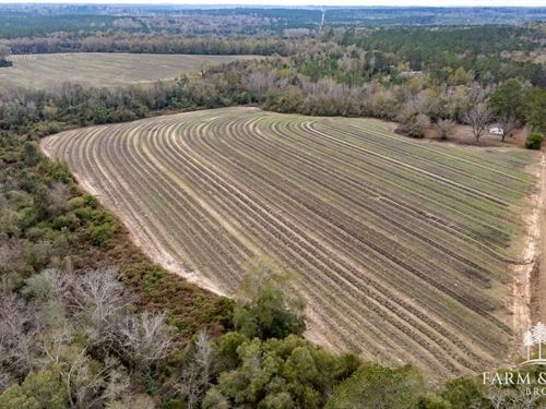 112 Ac Coffee Co, Bergeron Farm : Jack : Coffee County : Alabama