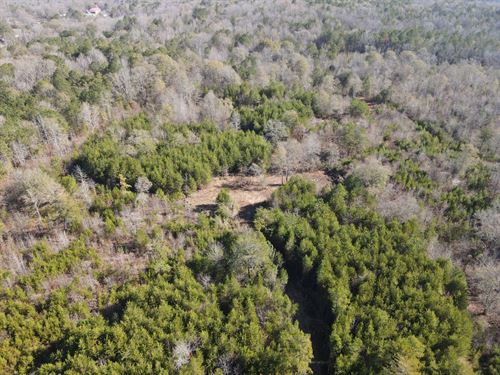 Reduced, 20 Acres in Talladega : Eastaboga : Talladega County : Alabama