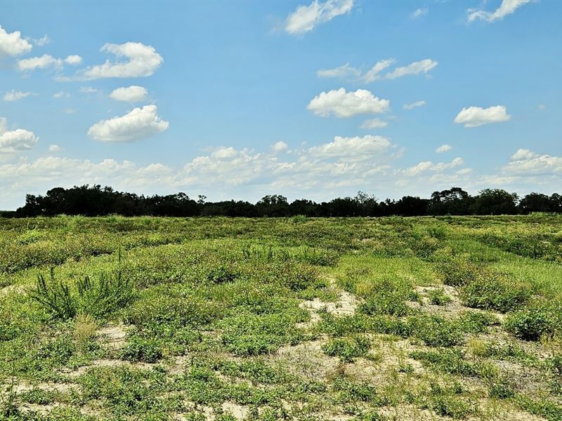 Mammoth Grove Road Lot 2 : Lake Wales : Polk County : Florida