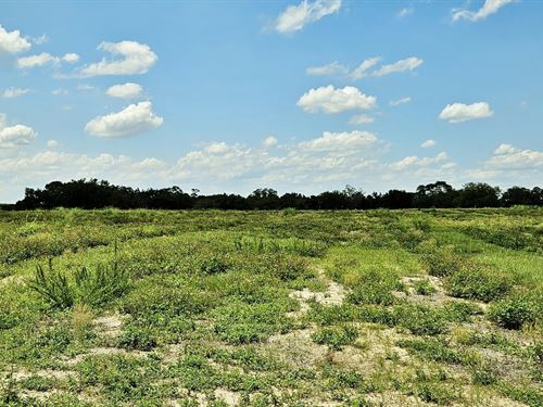 Mammoth Grove Road Lot 2 : Lake Wales : Polk County : Florida