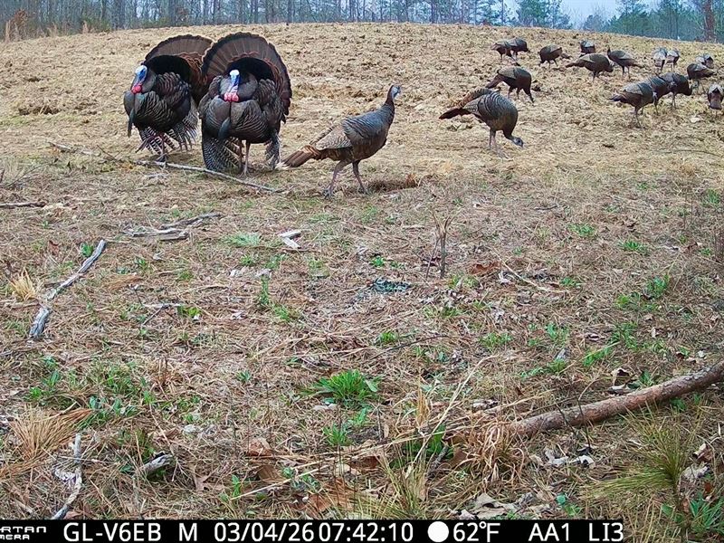 Brush Creek Hunting Camp : Waterloo : Lauderdale County : Alabama
