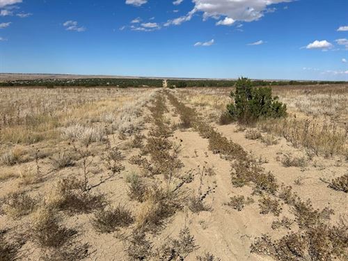 Las Animas Ranches, Delhi, CO 8 : Delhi : Las Animas County : Colorado